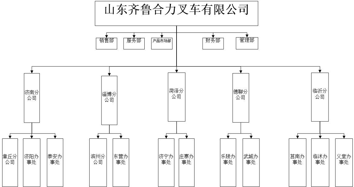 齐鲁凯时平台组织机构图.jpg